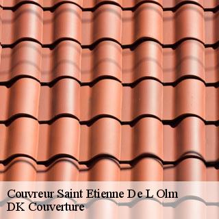 Couvreur  saint-etienne-de-l-olm-30360 DK Couverture 