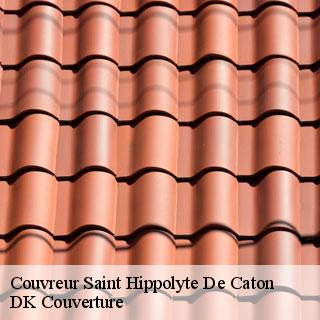 Couvreur  saint-hippolyte-de-caton-30360 DK Couverture 