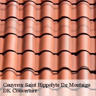 Couvreur saint-hippolyte-de-montaigu-30700 DK Couverture