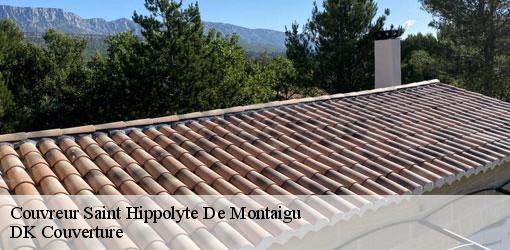 Couvreur saint-hippolyte-de-montaigu-30700 DK Couverture