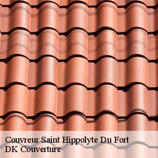 Couvreur  saint-hippolyte-du-fort-30170 DK Couverture 