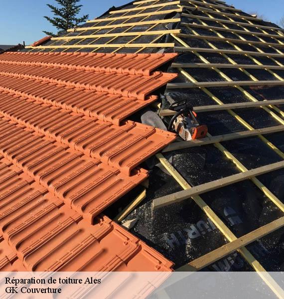 Réparation de toiture ales-30100 GK Couverture