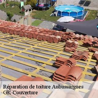 Réparation de toiture aubussargues-30190 GK Couverture