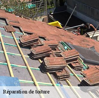 Réparation de toiture saint-mamert-du-gard-30730 DK Couverture