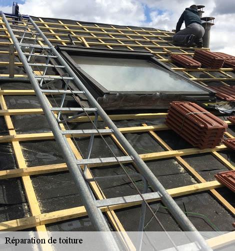 Réparation de toiture valliguieres-30210 DK Couverture