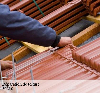 Réparation de toiture 30210
