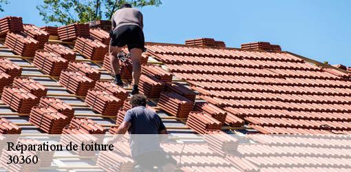 Réparation de toiture  vezenobres-30360 DK Couverture 