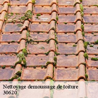 Nettoyage demoussage de toiture  aubord-30620 DK Couverture 