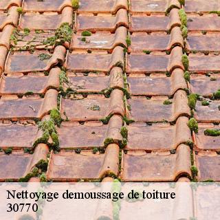 Nettoyage demoussage de toiture  blandas-30770 DK Couverture 