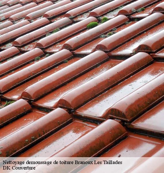 Nettoyage demoussage de toiture  branoux-les-taillades-30110 DK Couverture 