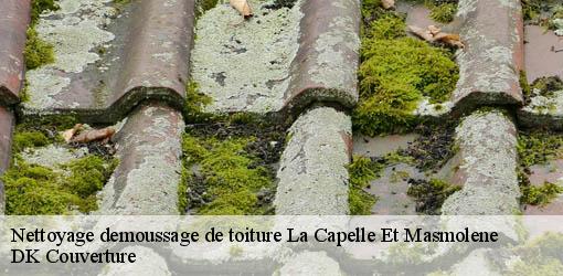 Nettoyage demoussage de toiture  la-capelle-et-masmolene-30700 DK Couverture 