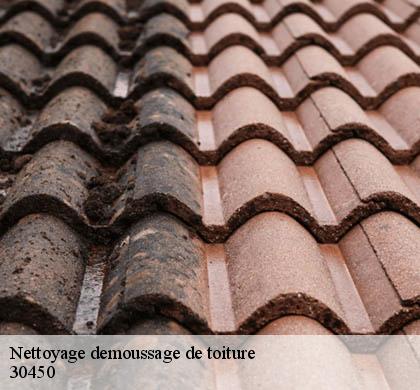 Nettoyage demoussage de toiture  30450