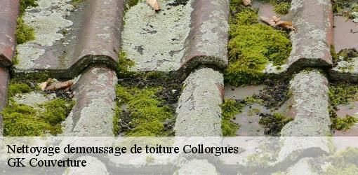 Nettoyage demoussage de toiture collorgues-30190 GK Couverture