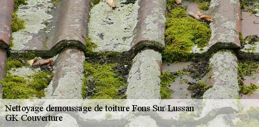Nettoyage demoussage de toiture fons-sur-lussan-30580 GK Couverture