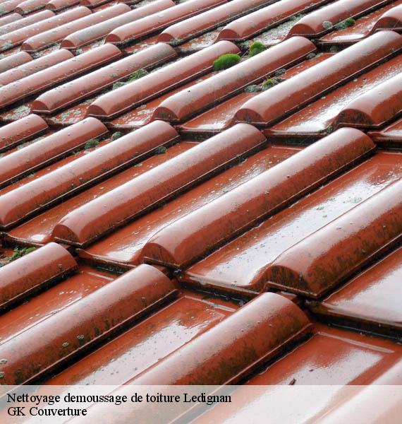 Nettoyage demoussage de toiture ledignan-30350 Couvreur Keller