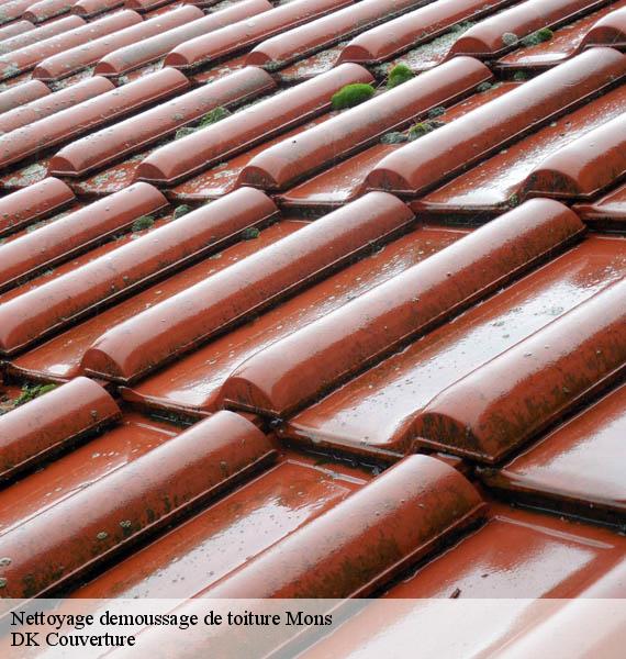 Nettoyage demoussage de toiture  mons-30340 DK Couverture 