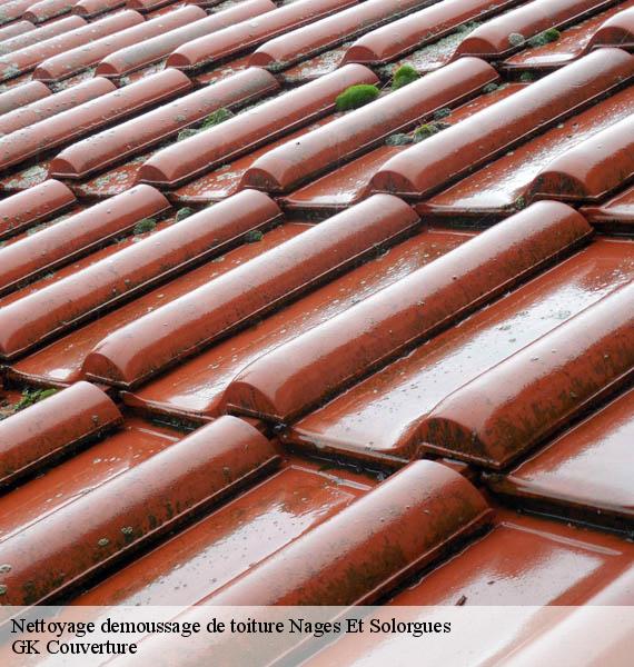 Nettoyage demoussage de toiture nages-et-solorgues-30114 Couvreur Keller