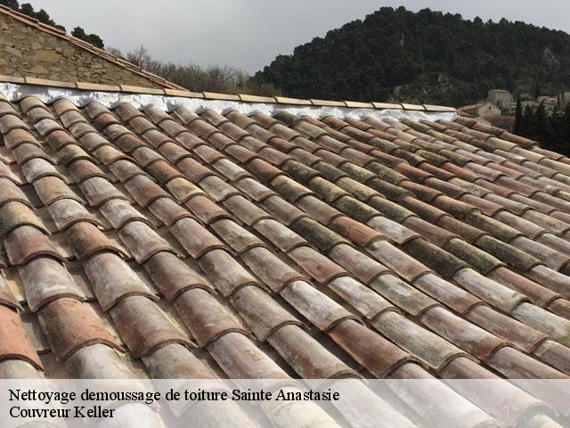 Nettoyage demoussage de toiture  sainte-anastasie-30190 Couvreur Keller