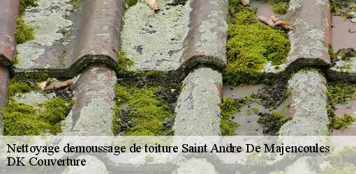 Nettoyage demoussage de toiture  saint-andre-de-majencoules-30570 DK Couverture 