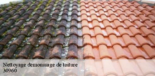 Nettoyage demoussage de toiture saint-florent-sur-auzonnet-30960 GK Couverture