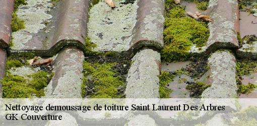 Nettoyage demoussage de toiture saint-laurent-des-arbres-30126 GK Couverture