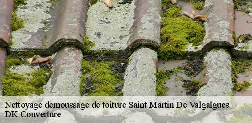 Nettoyage demoussage de toiture saint-martin-de-valgalgues-30520 DK Couverture