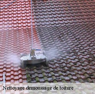 Nettoyage demoussage de toiture