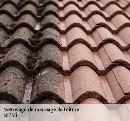 Nettoyage demoussage de toiture 30750