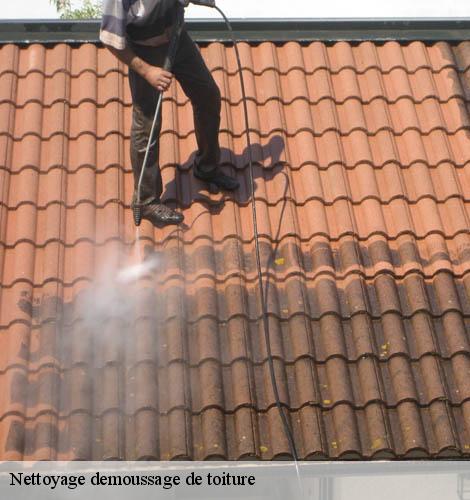 Nettoyage demoussage de toiture la-levade-30110 GK Couverture