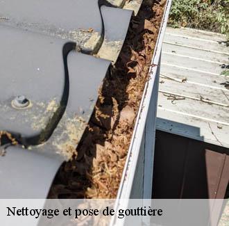 Nettoyage et pose de gouttière