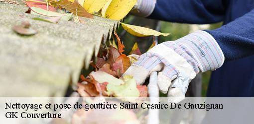 Nettoyage et pose de gouttière saint-cesaire-de-gauzignan-30360 GK Couverture