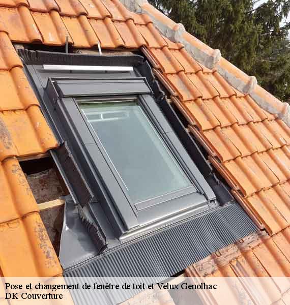 Pose et changement de fenêtre de toit et Velux  genolhac-30450 DK Couverture 