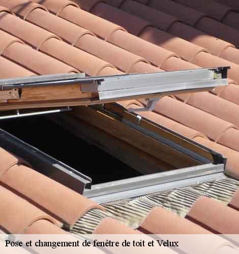 Pose et changement de fenêtre de toit et Velux  saint-bonnet-de-salendrinque-30460 DK Couverture 