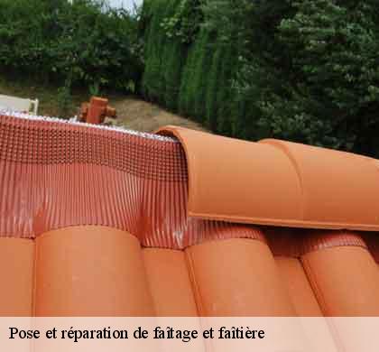 Pose et réparation de faîtage et faîtière  arrigas-30770 DK Couverture 