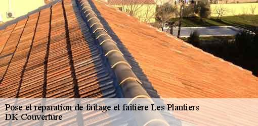 Pose et réparation de faîtage et faîtière  les-plantiers-30122 DK Couverture 