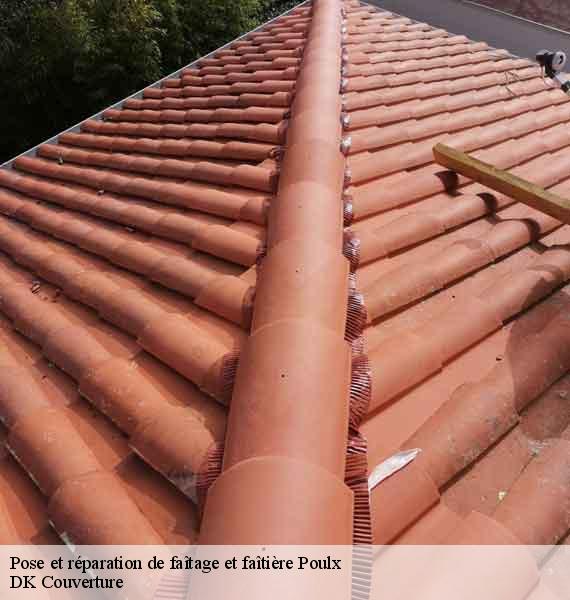 Pose et réparation de faîtage et faîtière  poulx-30320 DK Couverture 