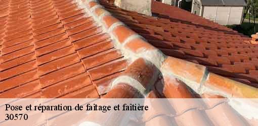 Pose et réparation de faîtage et faîtière valleraugue-30570 DK Couverture
