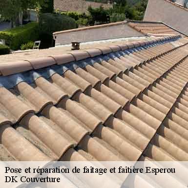 Pose et réparation de faîtage et faîtière  esperou-30570 DK Couverture 