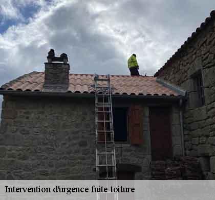 Intervention d'urgence fuite toiture corbes-30140 DK Couverture
