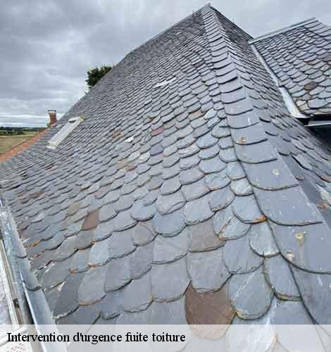 Intervention d'urgence fuite toiture   saint-theodorit-30260 DK Couverture 